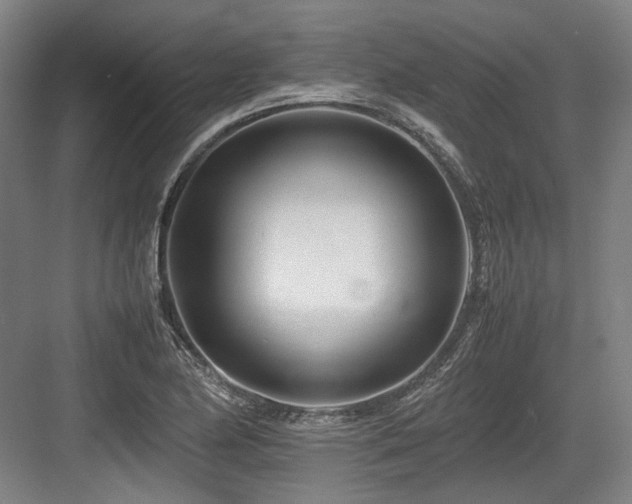 X0000083661174200702121208