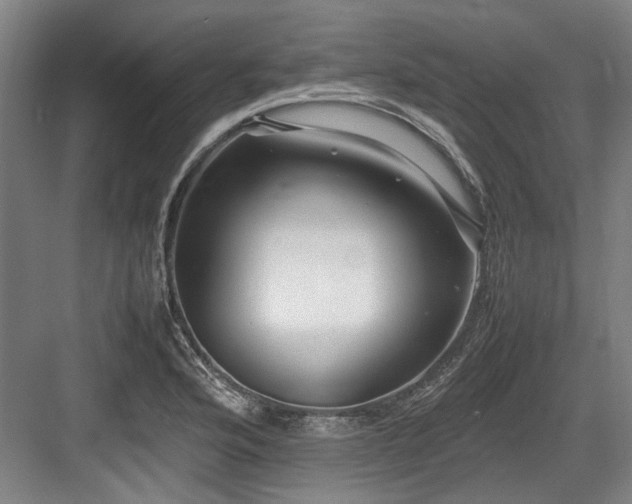 X0000083661176200702121208