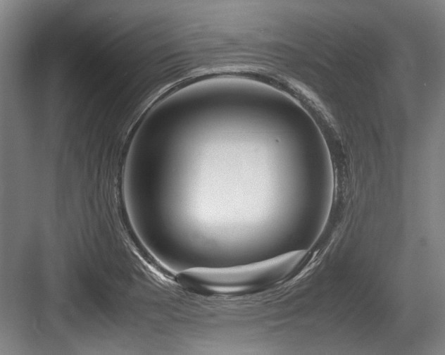 X0000083661177200702121208