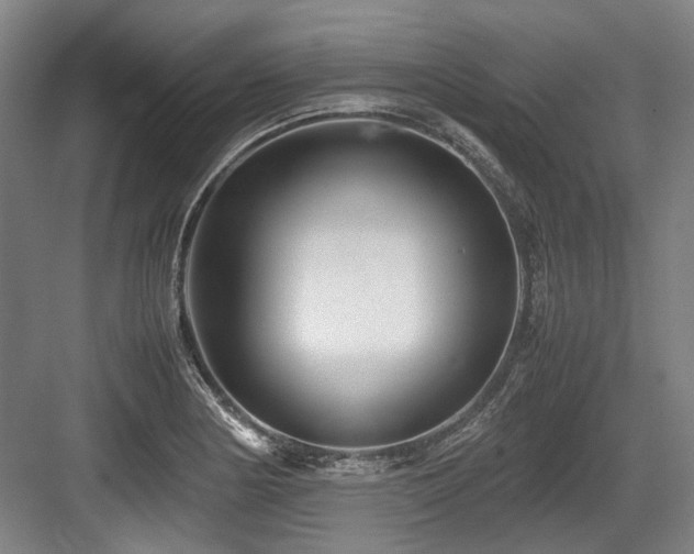 X0000083661178200702121208