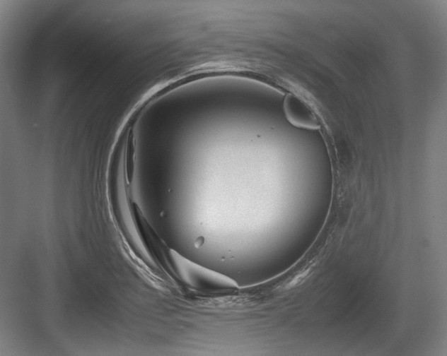 X0000083661179200702121208