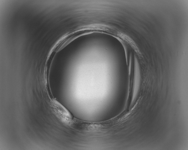 X0000083661180200702121208