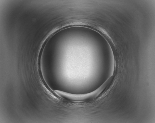 X0000083661181200702121208