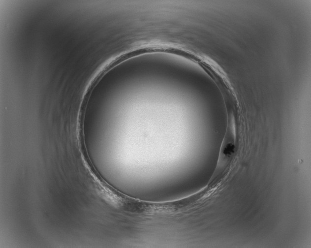 X0000083661183200702121208
