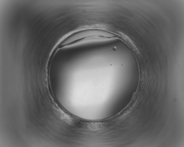 X0000083661184200702121208