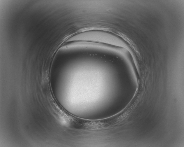 X0000083661185200702121208