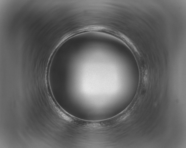 X0000083661186200702121208