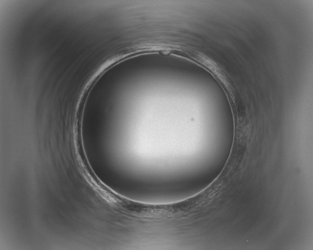 X0000083661187200702121208