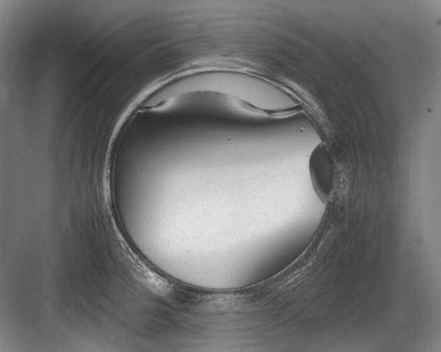 X0000083661188200702121208