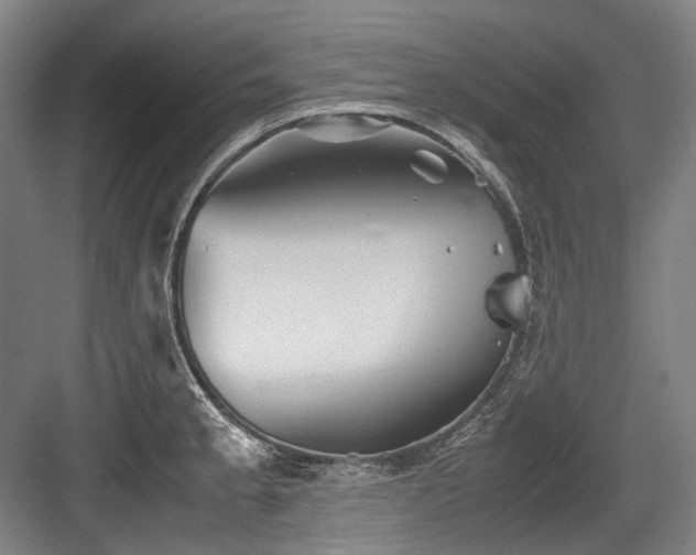 X0000083661189200702121208