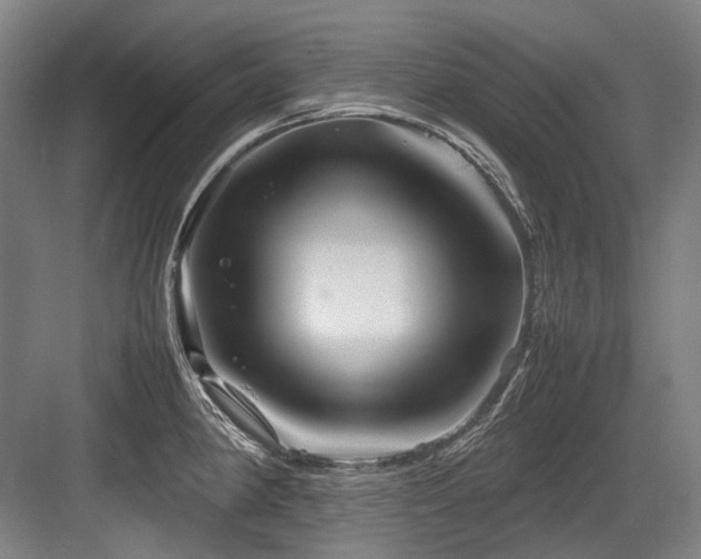 X0000083661190200702121208
