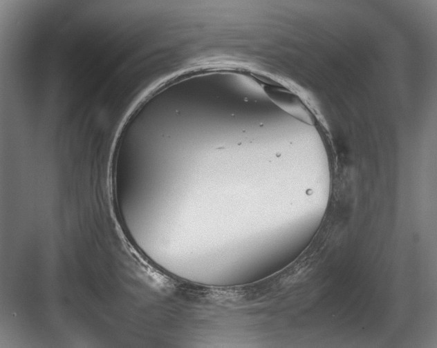 X0000083661191200702121208