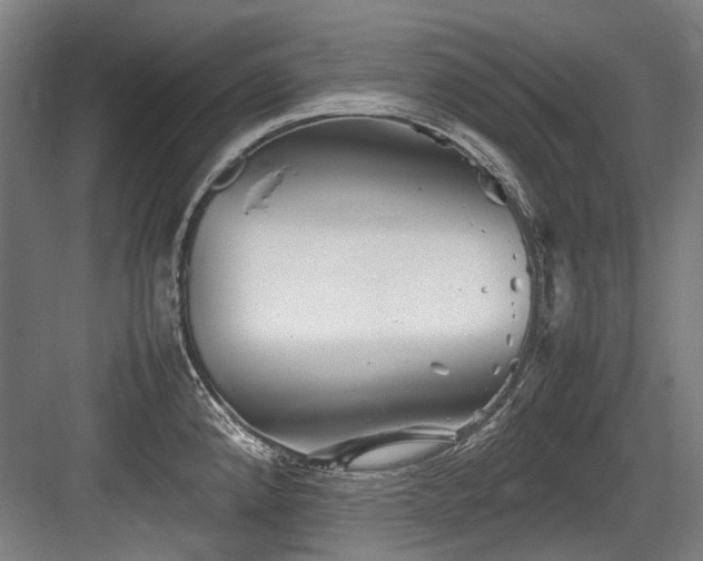 X0000083661192200702121208