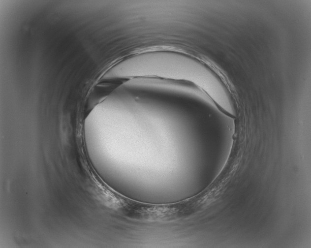 X0000083661193200702121208
