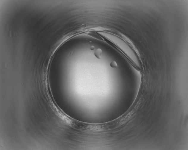 X0000083661194200702121208