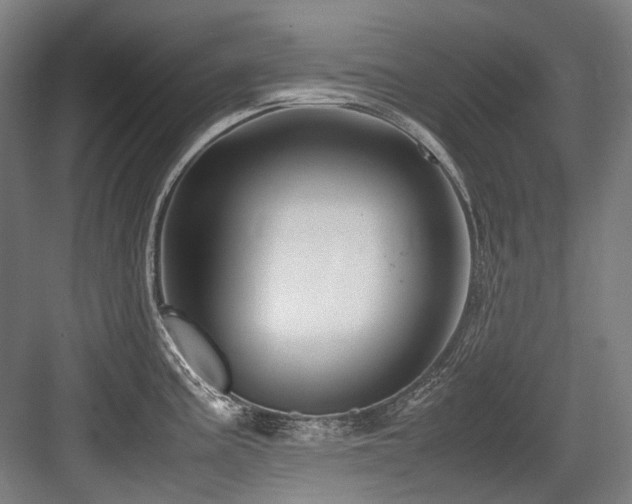 X0000083661195200702121208