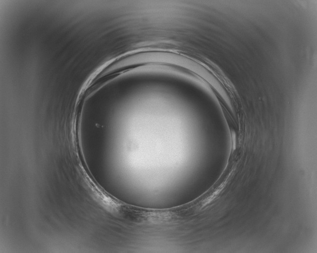 X0000083661196200702121208
