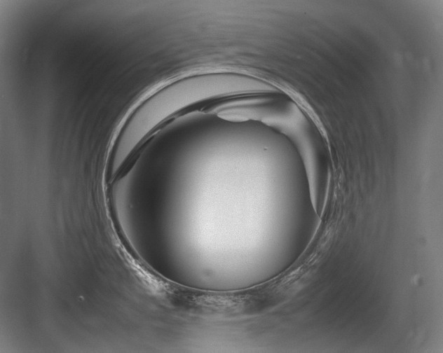 X0000083661197200702121208
