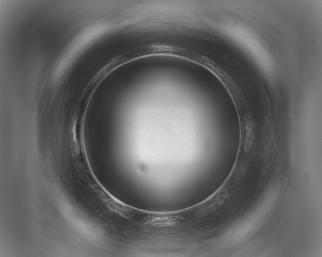 X0000083661198200702121208