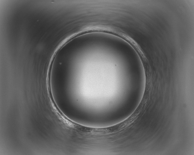 X0000083661199200702121208