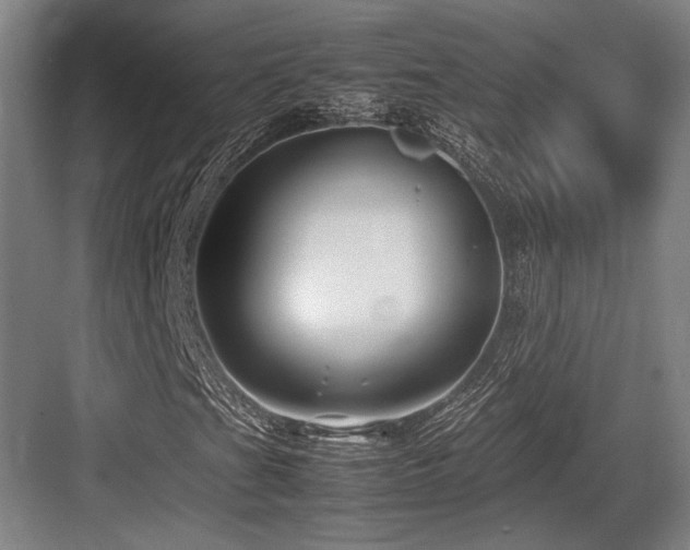 X0000083661201200702121207