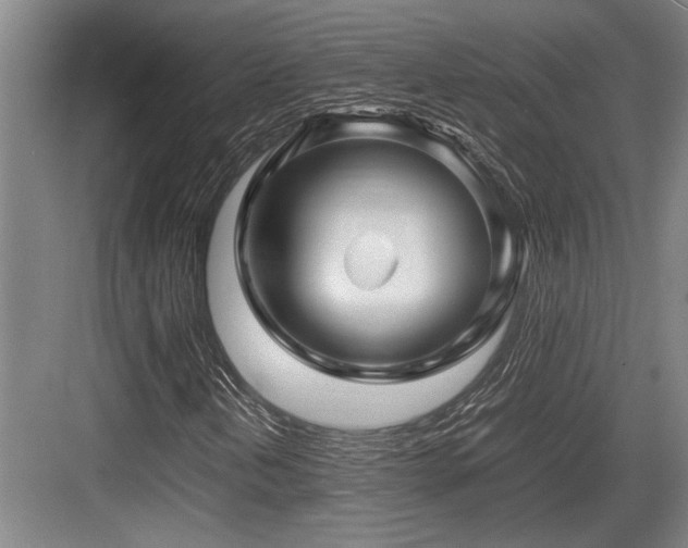 X0000083661202200702121207