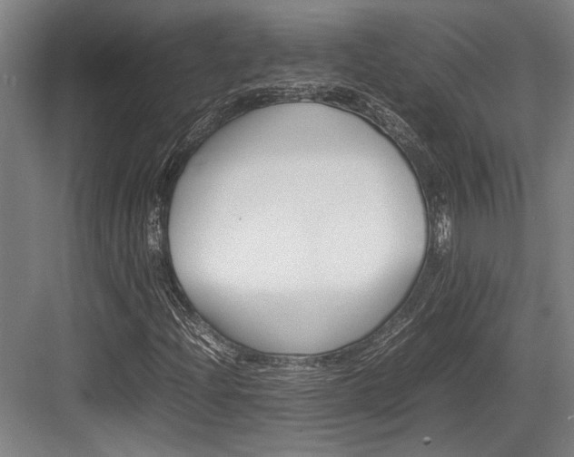 X0000083661204200702121207