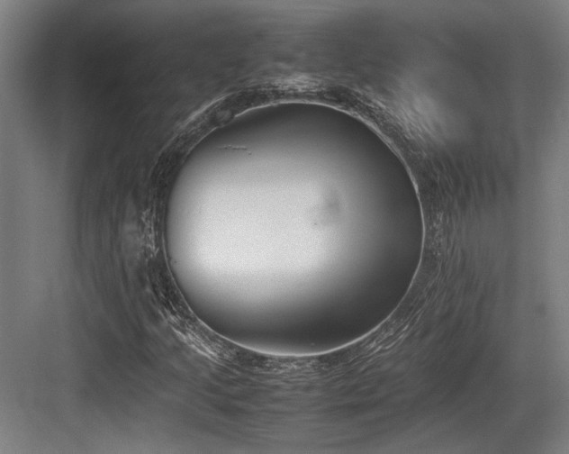 X0000083661205200702121207