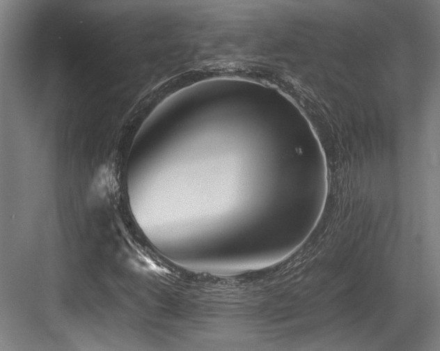 X0000083661206200702121207