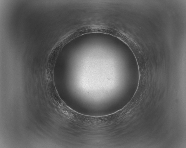 X0000083661207200702121207