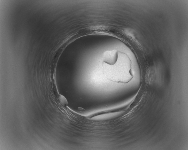 X0000083661209200702121207
