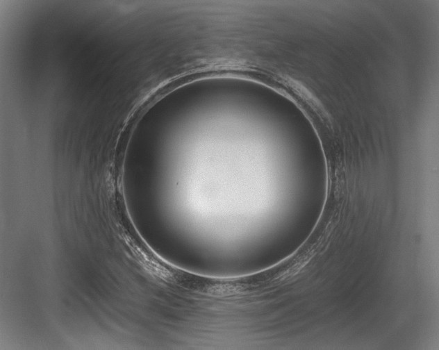 X0000083661212200702121207