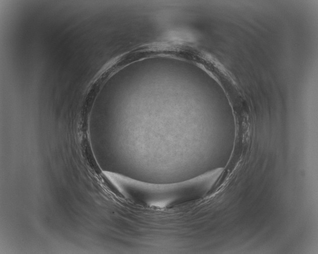 X0000083661213200702121207