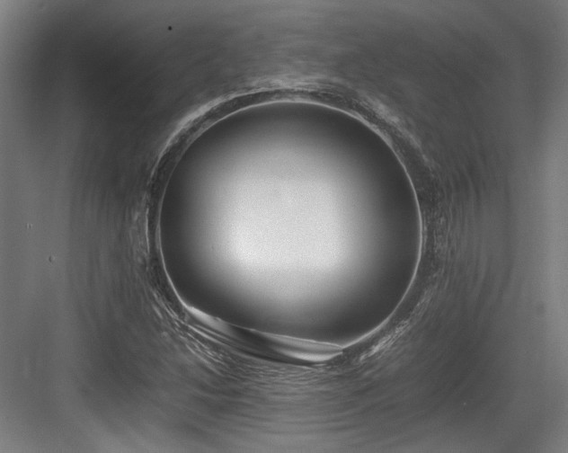 X0000083661214200702121207