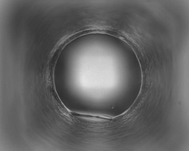 X0000083661215200702121207