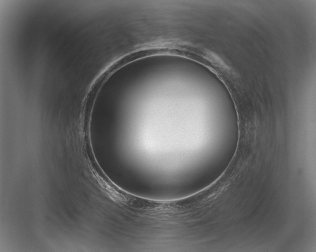 X0000083661216200702121207