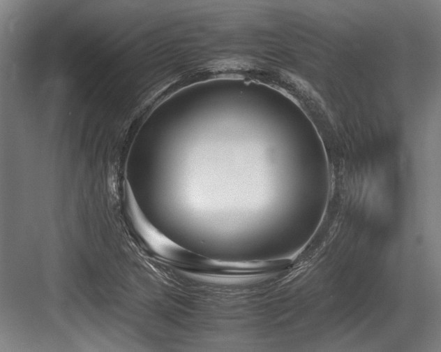 X0000083661217200702121207