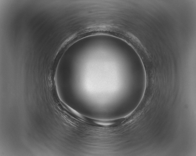 X0000083661218200702121207