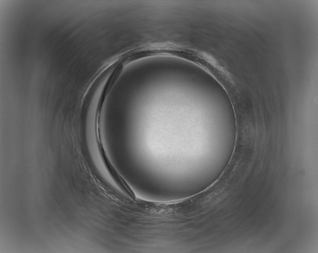 X0000083661221200702121207