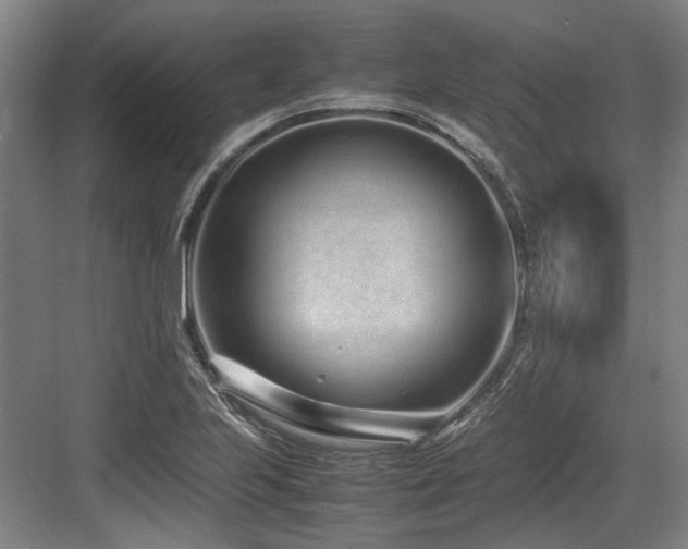 X0000083661223200702121207