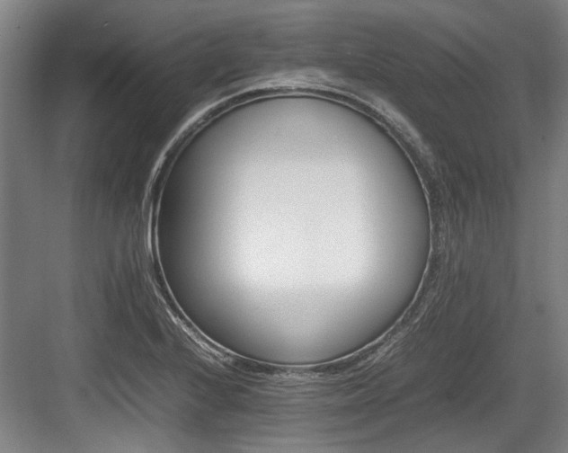 X0000083661224200702121207