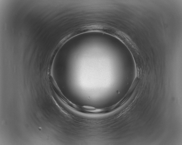 X0000083661225200702121207