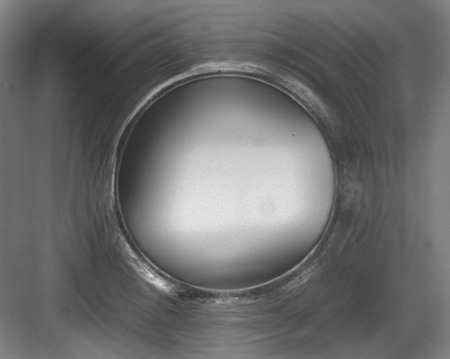 X0000083661228200702121207