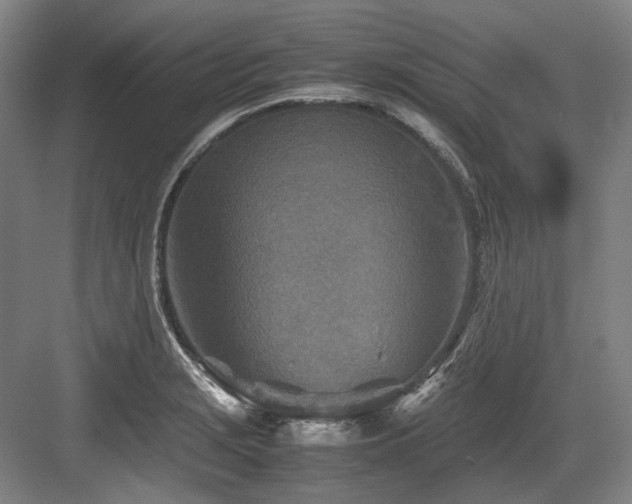 X0000083661229200702121207
