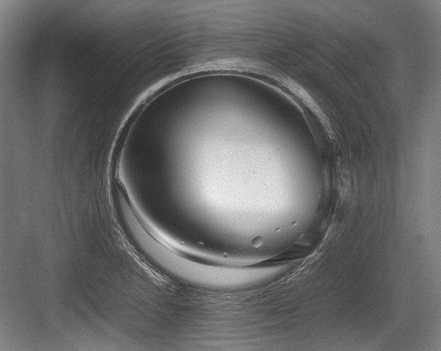 X0000083661230200702121207