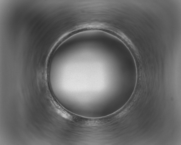 X0000083661232200702121207