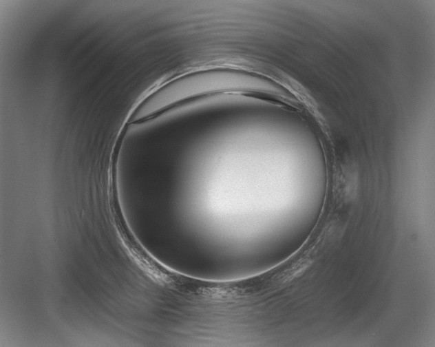 X0000083661234200702121207