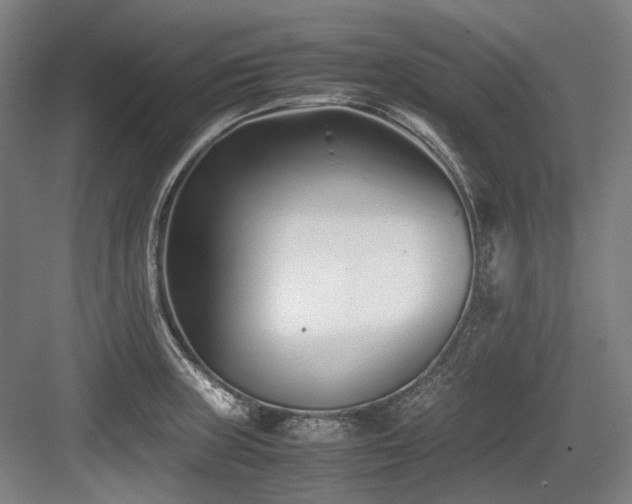 X0000083661235200702121207