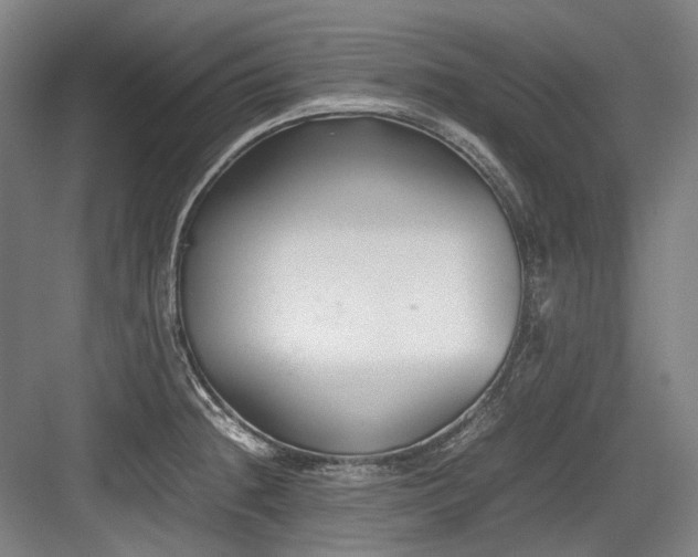 X0000083661236200702121207