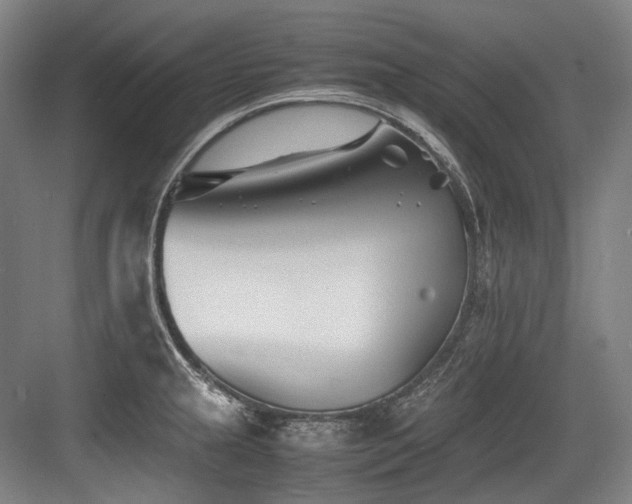 X0000083661237200702121207